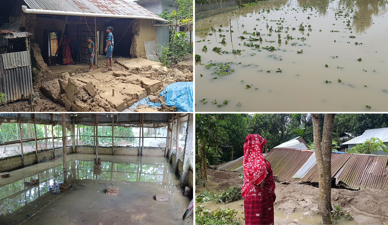 হবিগঞ্জে বন্যায় ক্ষতি শতকোটি টাকা