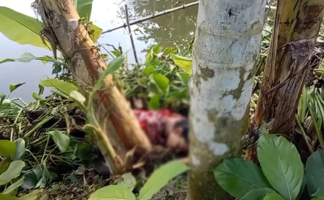 নবীগঞ্জে বড় ভাইয়ের ছুরিকাঘাতে বোন নিহত